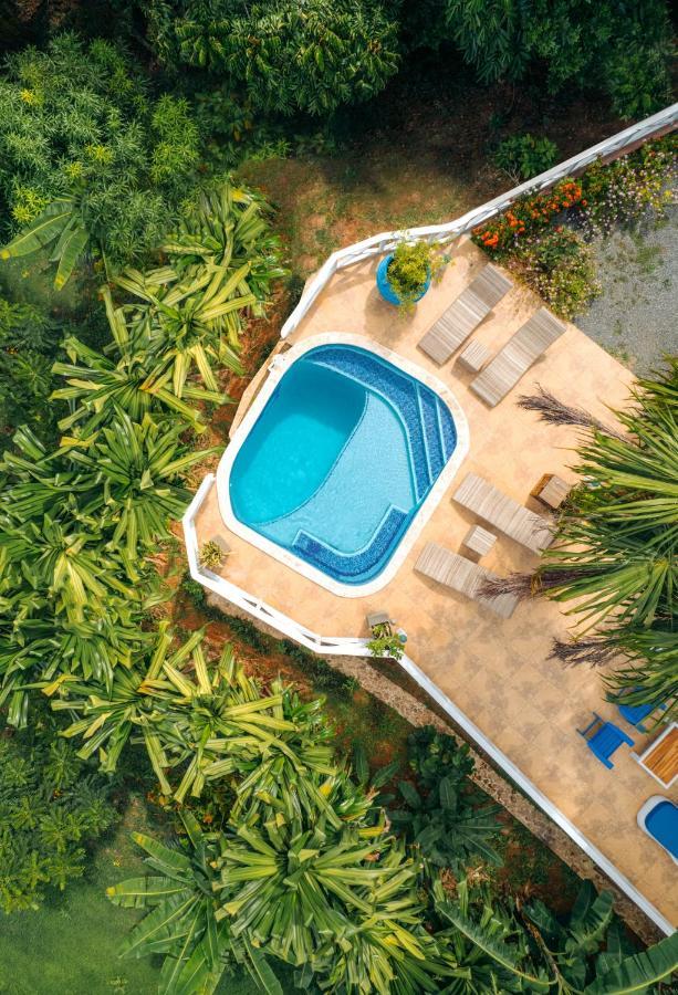 Blue Roatan Resort 웨스트 베이 외부 사진
