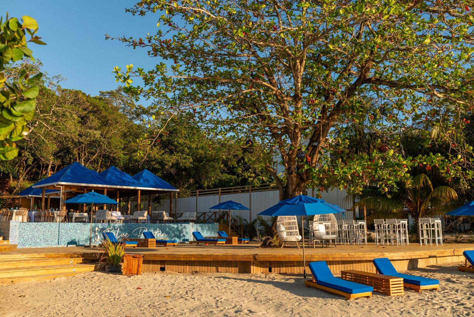 Blue Roatan Resort 웨스트 베이 외부 사진