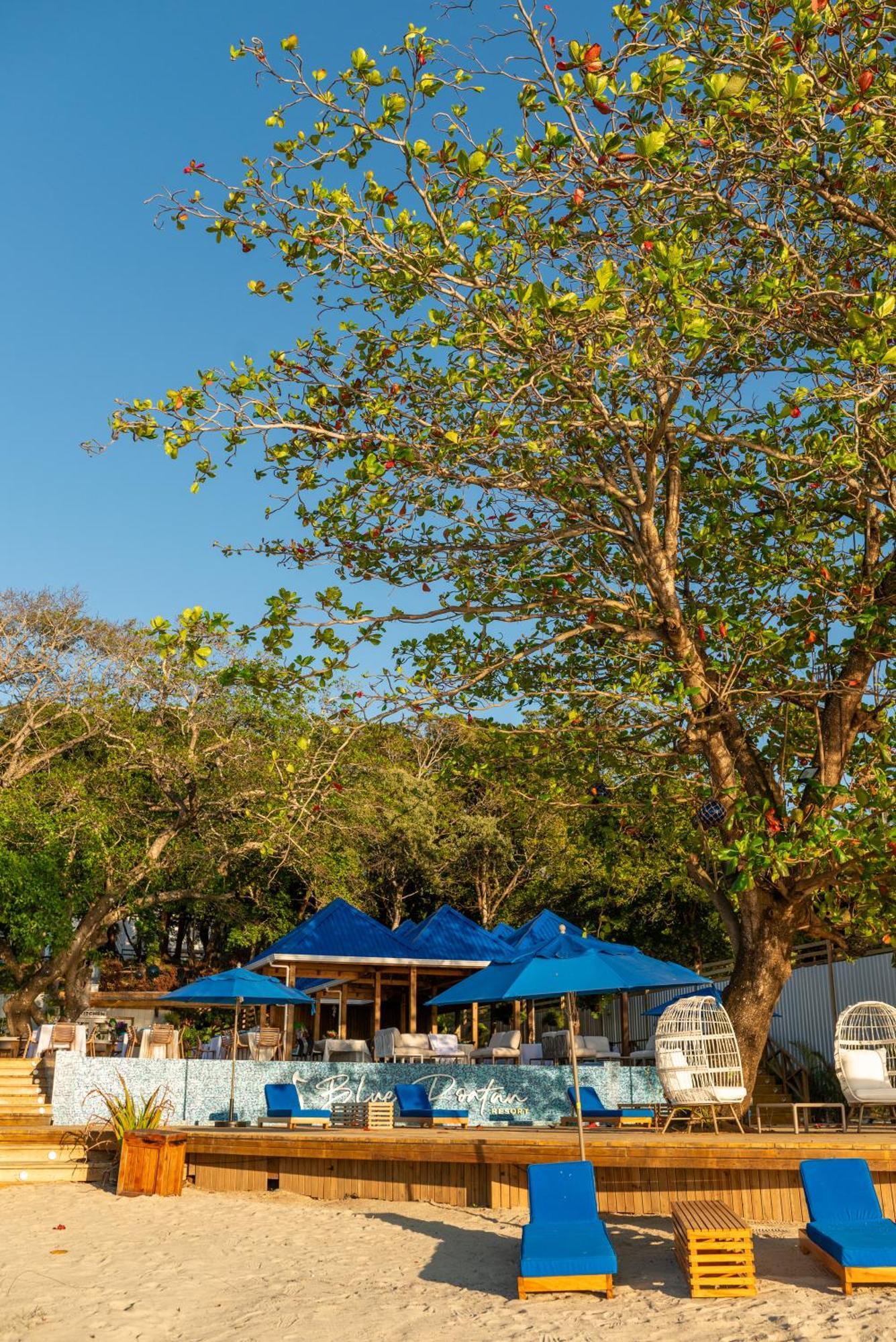 Blue Roatan Resort 웨스트 베이 외부 사진