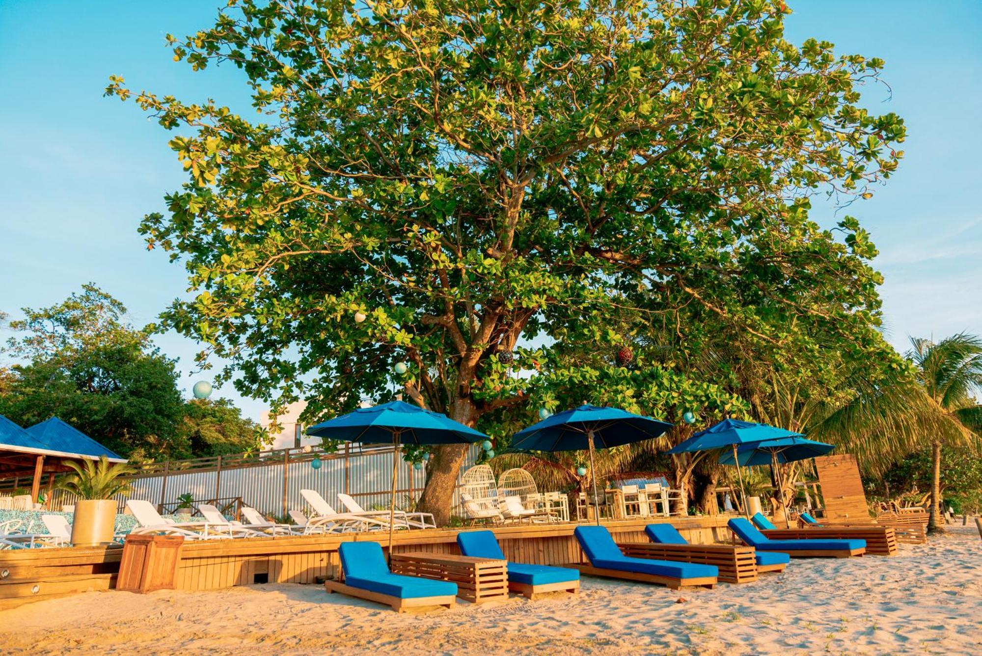 Blue Roatan Resort 웨스트 베이 외부 사진